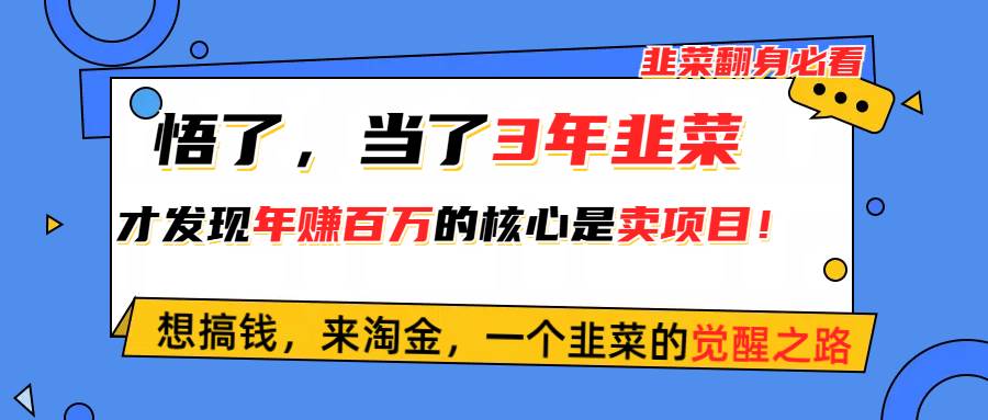 悟了，当了3年韭菜，才发现网赚圈年赚100万的核心是卖项目，含泪分享！网创吧-网创项目资源站-副业项目-创业项目-搞钱项目创业吧