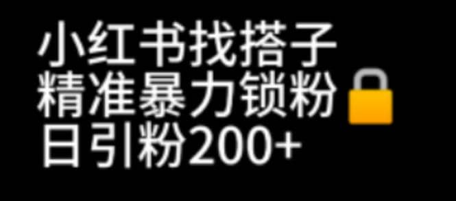 小红书找搭子暴力精准锁粉+引流日引200+精准粉网创吧-网创项目资源站-副业项目-创业项目-搞钱项目创业吧