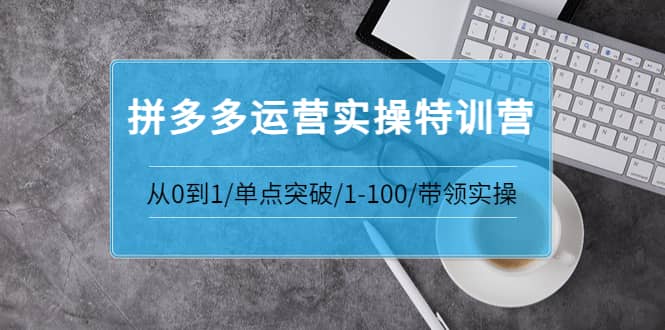 拼多多运营实操特训营：从0到1/单点突破/1-100/带领实操 价值2980元网创吧-网创项目资源站-副业项目-创业项目-搞钱项目创业吧