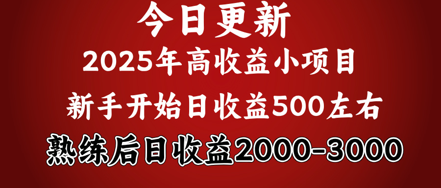 好项目一眼就能看出来，日收益1000，长久可做，2025拼的就是我比你勤奋网创吧-网创项目资源站-副业项目-创业项目-搞钱项目创业吧