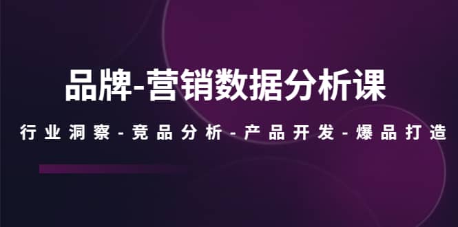 品牌-营销数据分析课，行业洞察-竞品分析-产品开发-爆品打造网创吧-网创项目资源站-副业项目-创业项目-搞钱项目创业吧