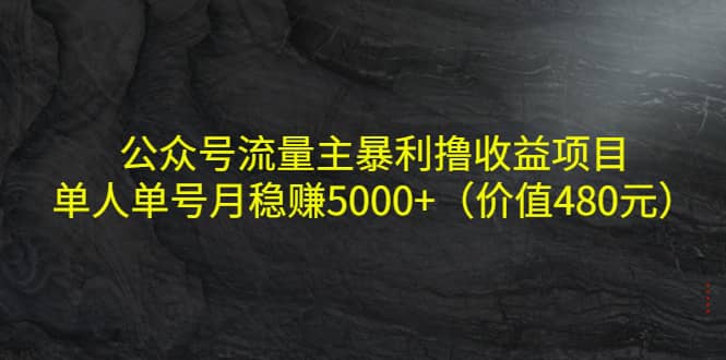 公众号流量主暴利撸收益项目，单人单号月稳赚5000+（价值480元）网创吧-网创项目资源站-副业项目-创业项目-搞钱项目创业吧
