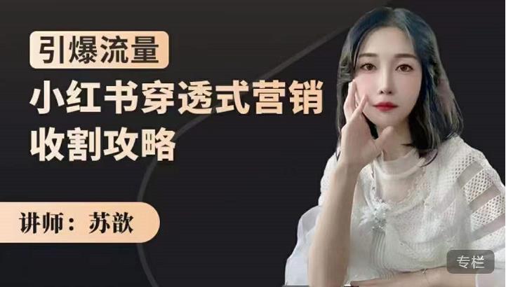 小红书穿透式营销收割攻略，引爆流量，助你玩转小红书网创吧-网创项目资源站-副业项目-创业项目-搞钱项目创业吧