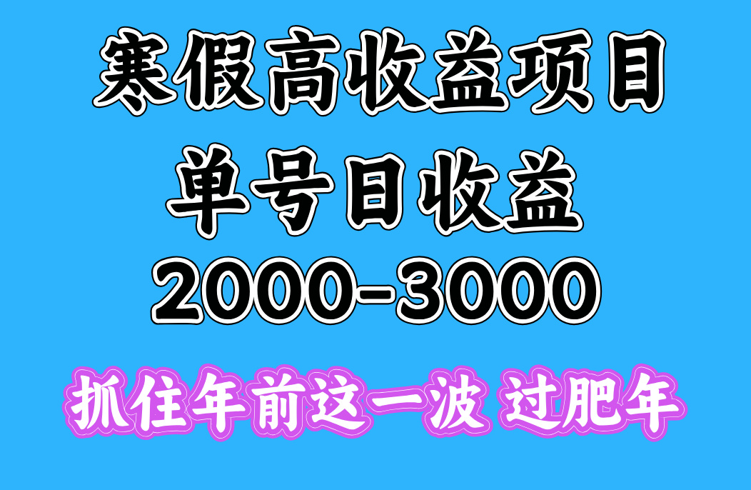 寒假期间一天收益2000-3000+，抓住年前这一波网创吧-网创项目资源站-副业项目-创业项目-搞钱项目创业吧