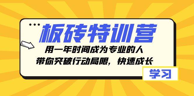 板砖特训营，用一年时间成为专业的人，带你突破行动局限，快速成长网创吧-网创项目资源站-副业项目-创业项目-搞钱项目创业吧