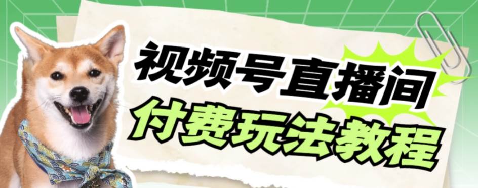 视频号美女付费无人直播，轻松日入500+【详细玩网创吧-网创项目资源站-副业项目-创业项目-搞钱项目创业吧