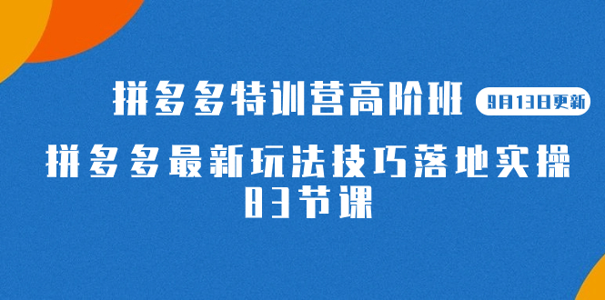2023拼多多·特训营高阶班【9月13日更新】拼多多最新玩法技巧落地实操-83节网创吧-网创项目资源站-副业项目-创业项目-搞钱项目创业吧