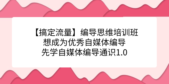 【搞定流量】编导思维培训班，想成为优秀自媒体编导先学自媒体编导通识1.0网创吧-网创项目资源站-副业项目-创业项目-搞钱项目创业吧
