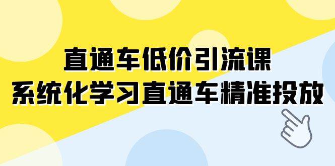 直通车-低价引流课，系统化学习直通车精准投放（14节课）网创吧-网创项目资源站-副业项目-创业项目-搞钱项目创业吧