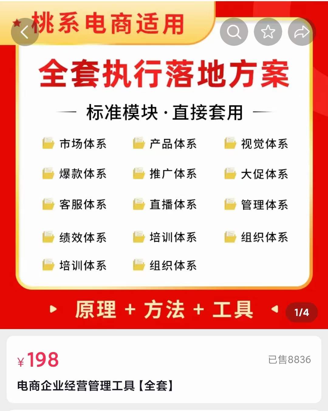 外面卖198·电商企业经营管理工具：全套执行落地方案 标准模块·直接套用网创吧-网创项目资源站-副业项目-创业项目-搞钱项目创业吧