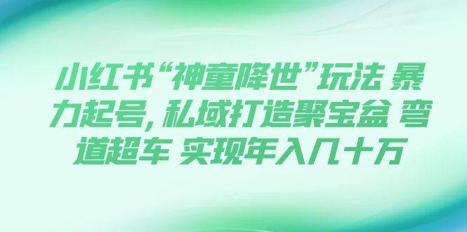 小红书“神童降世”玩法 暴力起号,私域打造聚宝盆 弯道超车 实现年入几十万网创吧-网创项目资源站-副业项目-创业项目-搞钱项目创业吧