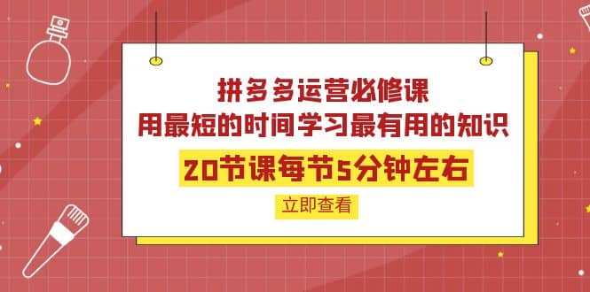 拼多多运营必修课：20节课每节5分钟左右，用最短的时间学习最有用的知识网创吧-网创项目资源站-副业项目-创业项目-搞钱项目创业吧