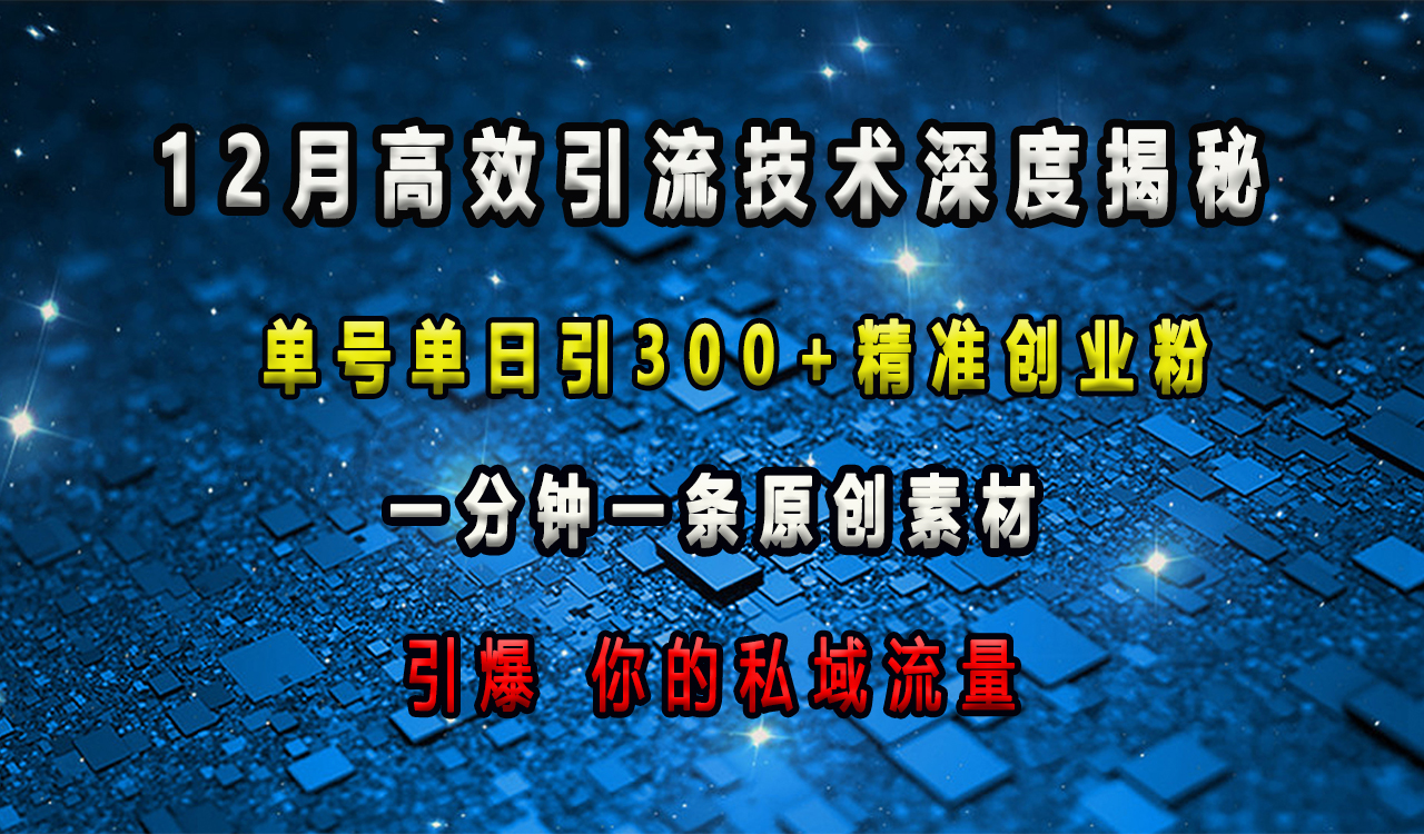 12月高效引流技术深度揭秘 ，单号单日引300+精准创业粉，一分钟一条原创素材，引爆你的私域流量网创吧-网创项目资源站-副业项目-创业项目-搞钱项目创业吧