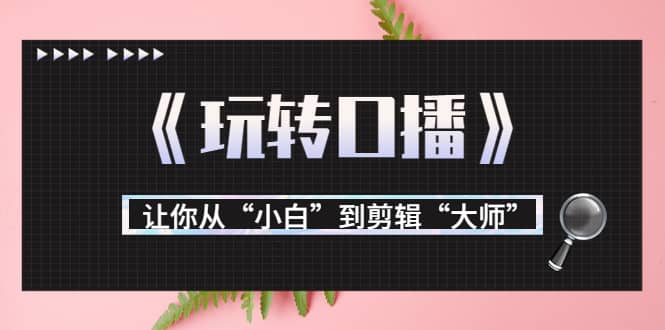 月营业额700万+大佬教您《玩转口播》让你从“小白”到剪辑“大师”网创吧-网创项目资源站-副业项目-创业项目-搞钱项目创业吧