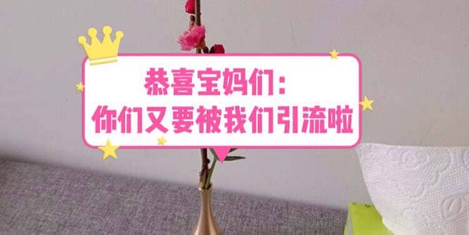 恭喜宝妈们：你们又要被我们引流了（教程+222g资料）网创吧-网创项目资源站-副业项目-创业项目-搞钱项目创业吧