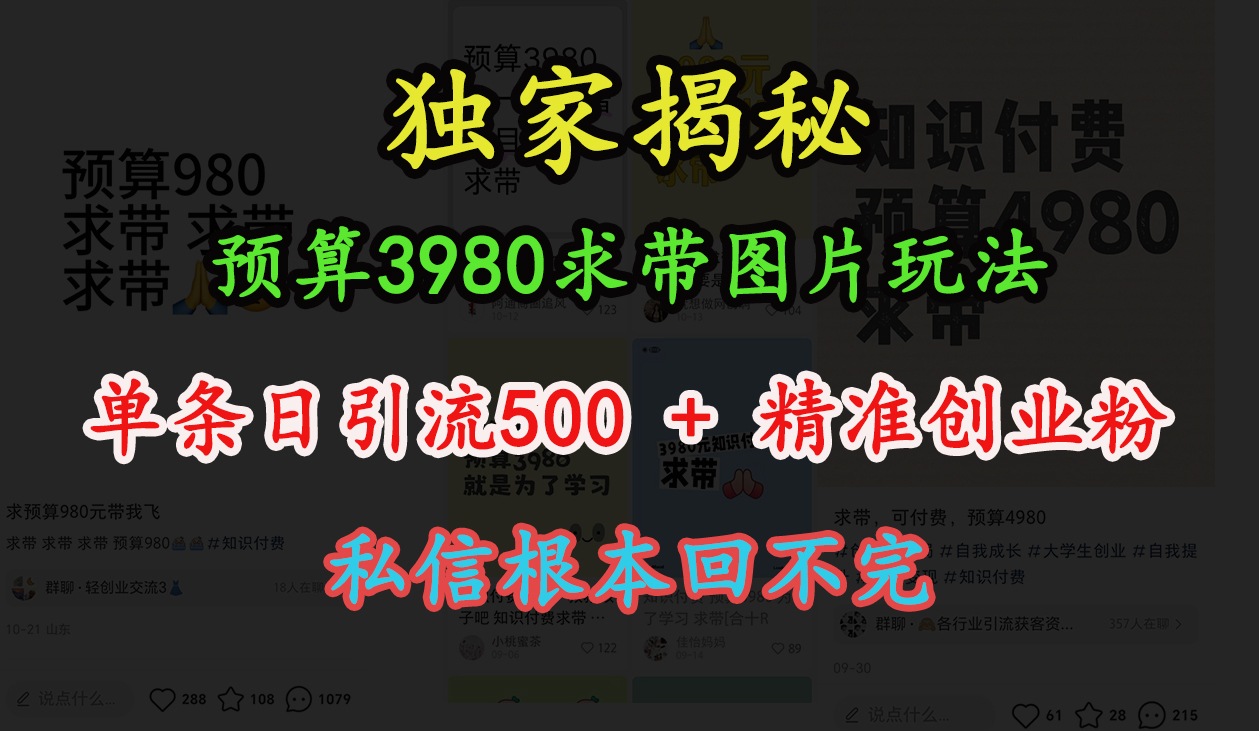 “小红书”预算3980求带 图片玩法，单条日引流500+精准创业粉，私信根本回不完网创吧-网创项目资源站-副业项目-创业项目-搞钱项目创业吧