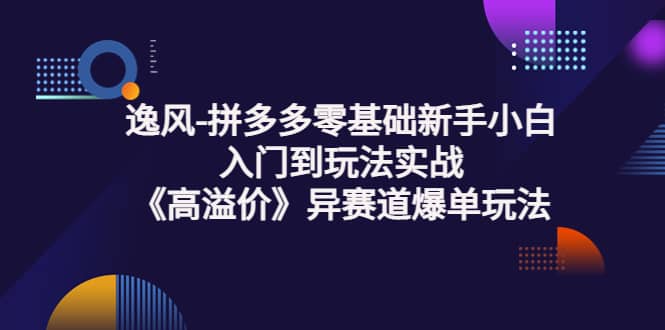 拼多多零基础新手小白入门到玩法实战《高溢价》异赛道爆单玩法实操课网创吧-网创项目资源站-副业项目-创业项目-搞钱项目创业吧
