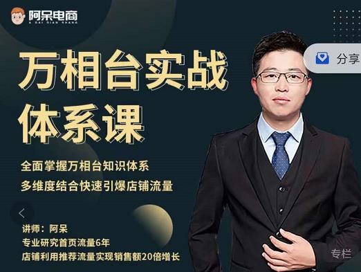 阿呆-万相台实战体系课，帮您全面掌握万相台知识体系网创吧-网创项目资源站-副业项目-创业项目-搞钱项目创业吧