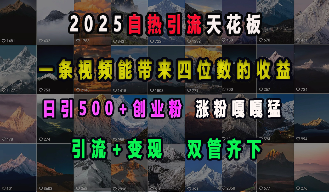 2025自热引流天花板，一条视频能带来四位数的收益，引流+变现双管齐下，日引500+创业粉，涨粉嘎嘎猛网创吧-网创项目资源站-副业项目-创业项目-搞钱项目创业吧