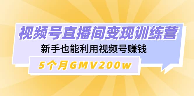 视频号直播间变现训练营网创吧-网创项目资源站-副业项目-创业项目-搞钱项目创业吧