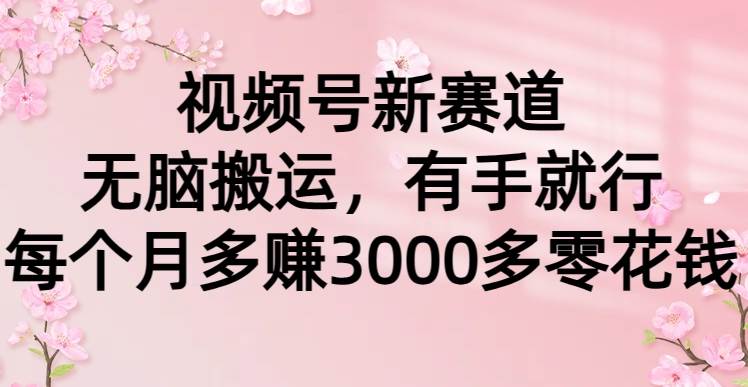 视频号新赛道，无脑搬运，有手就行，每个月多赚3000多零花钱网创吧-网创项目资源站-副业项目-创业项目-搞钱项目创业吧