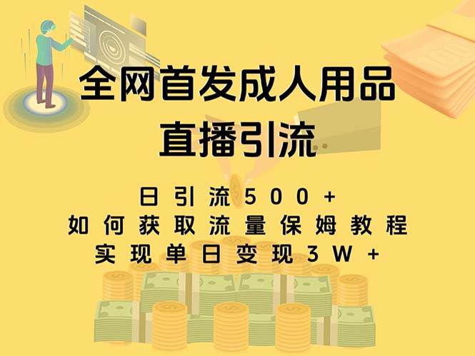 最新全网独创首发，成人用品直播引流获客暴力玩法，单日变现3w保姆级教程网创吧-网创项目资源站-副业项目-创业项目-搞钱项目创业吧