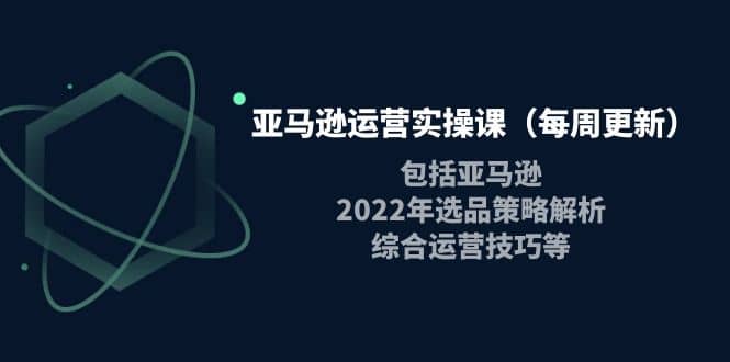 亚马逊运营实操课（每周更新）包括亚马逊2022选品策略解析，综合运营技巧等网创吧-网创项目资源站-副业项目-创业项目-搞钱项目创业吧