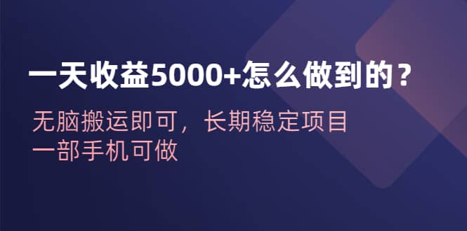 一天收益5000+怎么做到的？无脑搬运即可，长期稳定项目，一部手机可做网创吧-网创项目资源站-副业项目-创业项目-搞钱项目创业吧