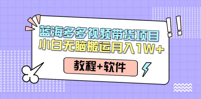 人人都能操作的蓝海多多视频带货项目 小白无脑搬运（教程+软件）网创吧-网创项目资源站-副业项目-创业项目-搞钱项目创业吧