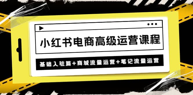 小红书电商高级运营课程：基础入驻篇+商城流量运营+笔记流量运营网创吧-网创项目资源站-副业项目-创业项目-搞钱项目创业吧
