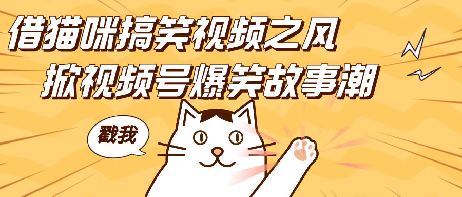 借猫咪搞笑视频之风，掀视频号爆笑故事潮，轻松日赚四位数，开启无门槛赚钱新体验！网创吧-网创项目资源站-副业项目-创业项目-搞钱项目创业吧