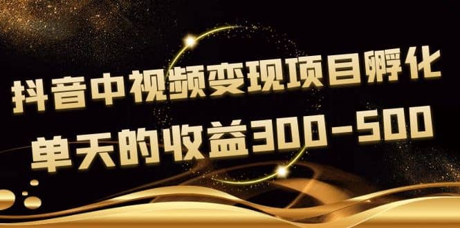 黄岛主《抖音中视频变现项目孵化》单天的收益300-500 操作简单粗暴网创吧-网创项目资源站-副业项目-创业项目-搞钱项目创业吧