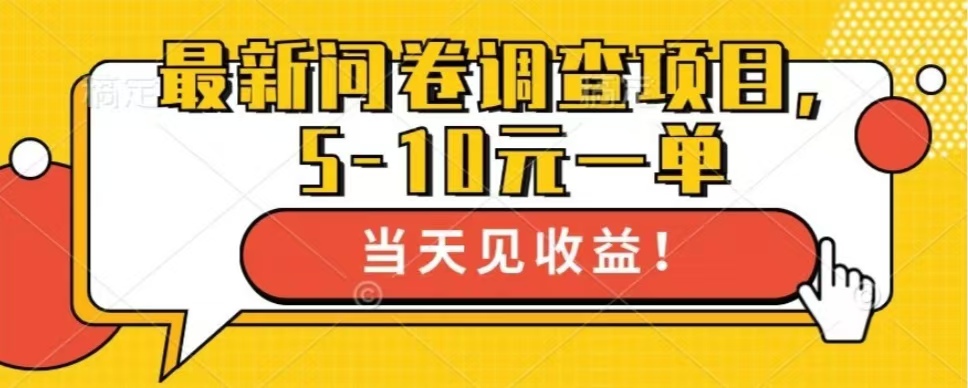最新问卷调查项目，共12个平台，单日零撸100＋网创吧-网创项目资源站-副业项目-创业项目-搞钱项目创业吧