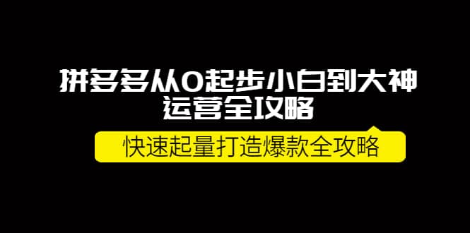 拼多多从0起步小白到大神运营全攻略网创吧-网创项目资源站-副业项目-创业项目-搞钱项目创业吧