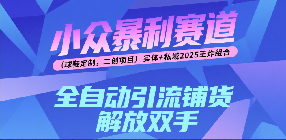 楠—小众暴利赛道（球鞋定制，二创项目）实体+私域2025王炸组合网创吧-网创项目资源站-副业项目-创业项目-搞钱项目创业吧