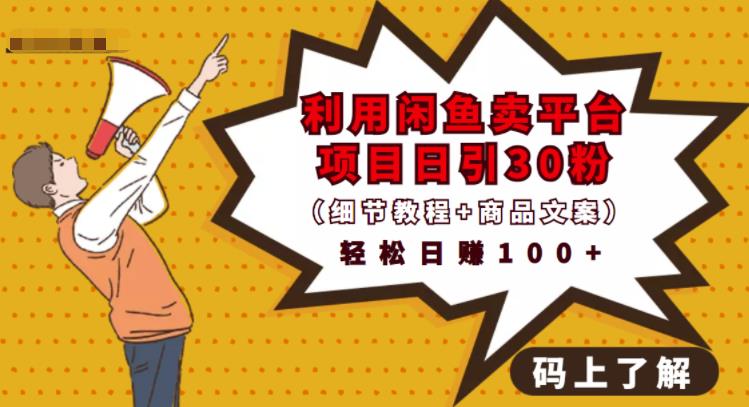 利用闲鱼卖平台项目课程资源日引流30+精准粉丝，轻松日赚100+，积累人脉可实现二次变现（细节教程+商品文案）网创吧-网创项目资源站-副业项目-创业项目-搞钱项目创业吧