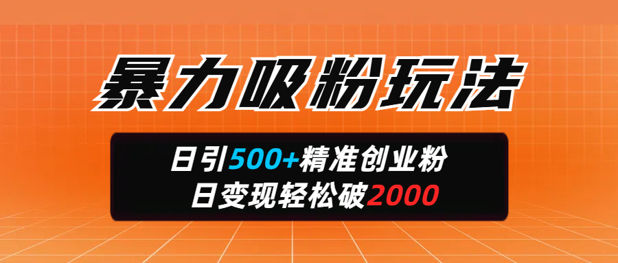 暴力吸粉玩法，日引500+精准创业粉，日变现轻松破2000网创吧-网创项目资源站-副业项目-创业项目-搞钱项目创业吧