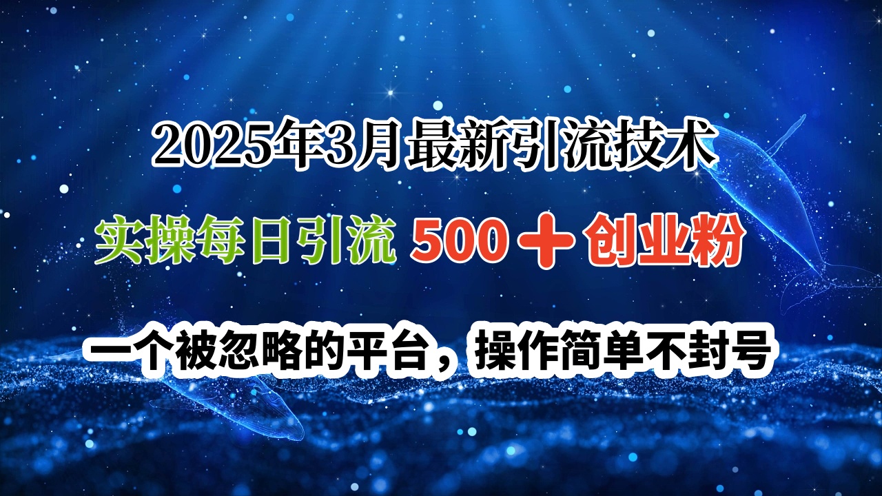 2025年3月最新引流技术，实操每日引流500➕创业粉，一个被忽略的平台，操作简单不封号网创吧-网创项目资源站-副业项目-创业项目-搞钱项目创业吧