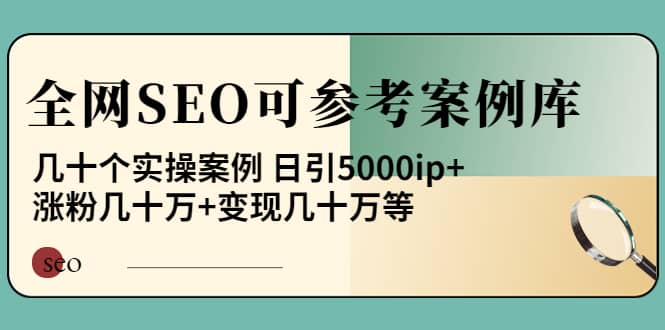 《全网SEO可参考案例库》几十个实操案例网创吧-网创项目资源站-副业项目-创业项目-搞钱项目创业吧