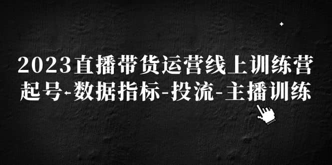 2023直播带货运营线上训练营，起号-数据指标-投流-主播训练网创吧-网创项目资源站-副业项目-创业项目-搞钱项目创业吧