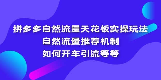 拼多多自然流量天花板实操玩法：自然流量推荐机制，如何开车引流等等网创吧-网创项目资源站-副业项目-创业项目-搞钱项目创业吧
