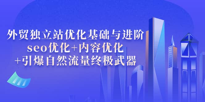 外贸独立站优化基础与进阶，seo优化+内容优化+引爆自然流量终极武器网创吧-网创项目资源站-副业项目-创业项目-搞钱项目创业吧