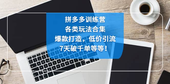 拼多多训练营：各玩法合集，爆款打造，低价引流，7天破千单等等网创吧-网创项目资源站-副业项目-创业项目-搞钱项目创业吧