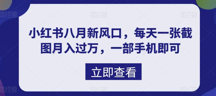 八月新风口，小红书虚拟项目一天收入1000+，实战揭秘网创吧-网创项目资源站-副业项目-创业项目-搞钱项目创业吧