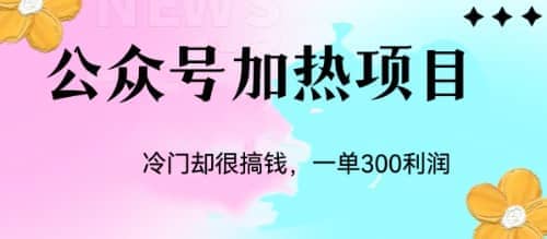 冷门公众号加热项目，一单利润300+网创吧-网创项目资源站-副业项目-创业项目-搞钱项目创业吧