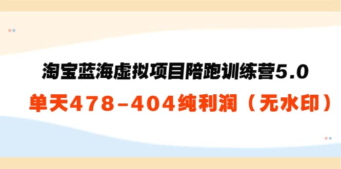 淘宝蓝海虚拟项目陪跑训练营5.0：单天478纯利润（无水印）网创吧-网创项目资源站-副业项目-创业项目-搞钱项目创业吧