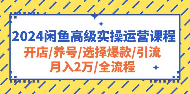 2024闲鱼高级实操运营课程：开店/养号/选择爆款/引流/月入2万/全流程网创吧-网创项目资源站-副业项目-创业项目-搞钱项目创业吧
