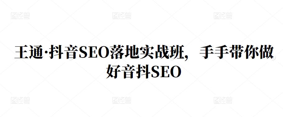 王通·抖音SEO落地实战班，手‬手带你做好音抖‬‬SEO网创吧-网创项目资源站-副业项目-创业项目-搞钱项目创业吧