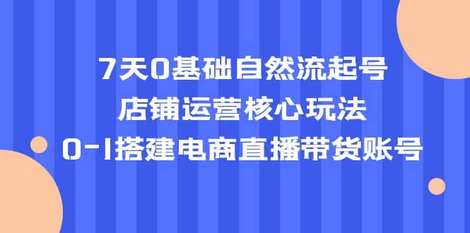 7天0基础自然流起号，店铺运营核心玩法，0-1搭建电商直播带货账号网创吧-网创项目资源站-副业项目-创业项目-搞钱项目创业吧