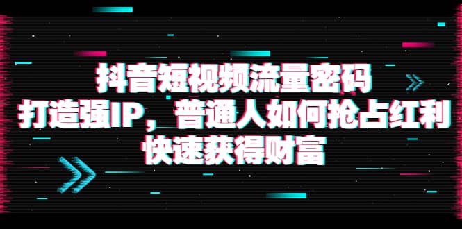 抖音短视频流量密码：打造强IP，普通人如何抢占红利，快速获得财富网创吧-网创项目资源站-副业项目-创业项目-搞钱项目创业吧